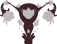 ovary