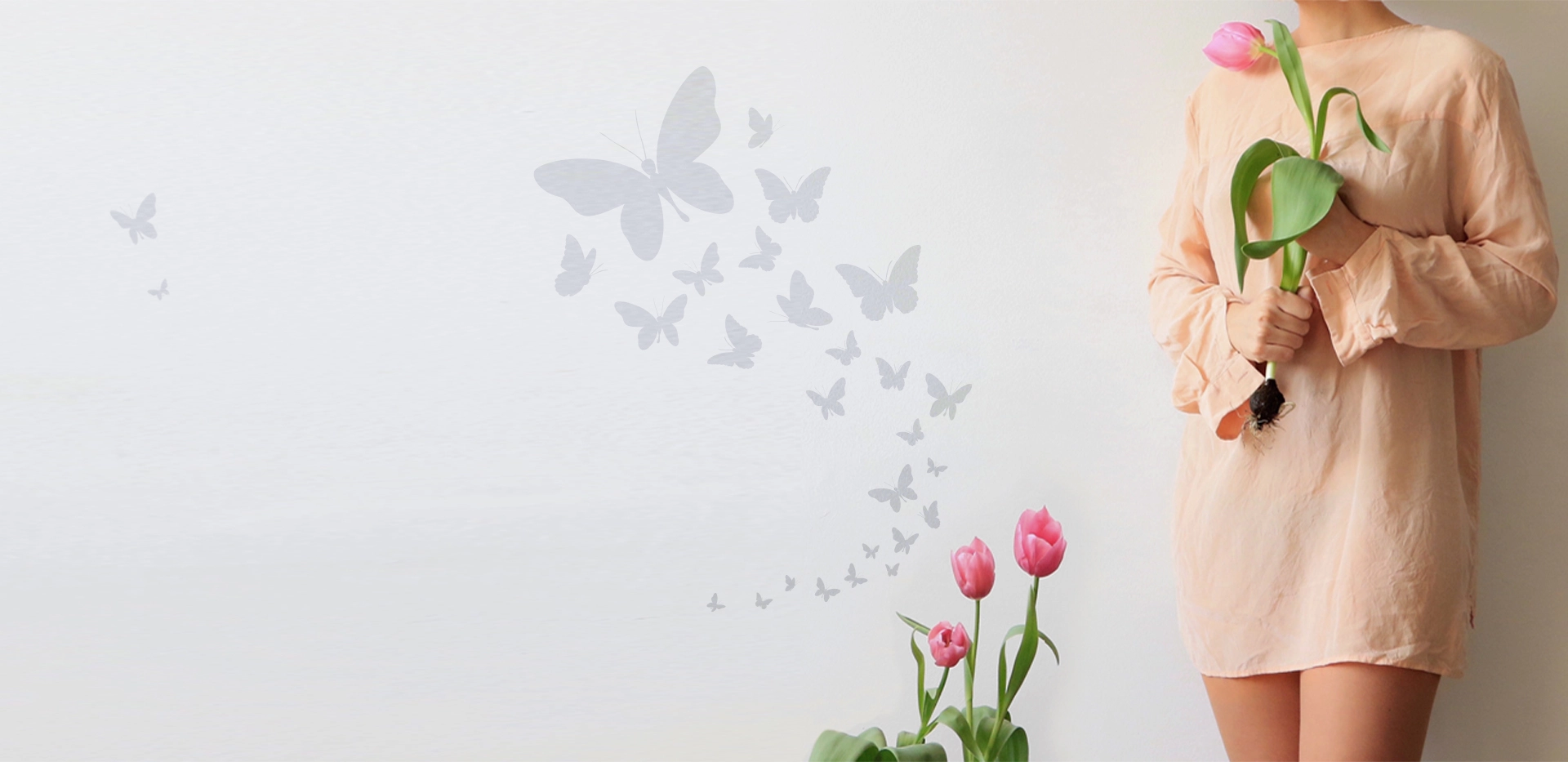 silero_banner